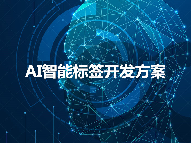 AI智能標簽開發(fā)方案